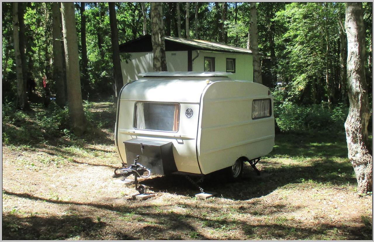 Ddr Wohnwagen Qek Direkt Am Strand Dranske Exterior foto
